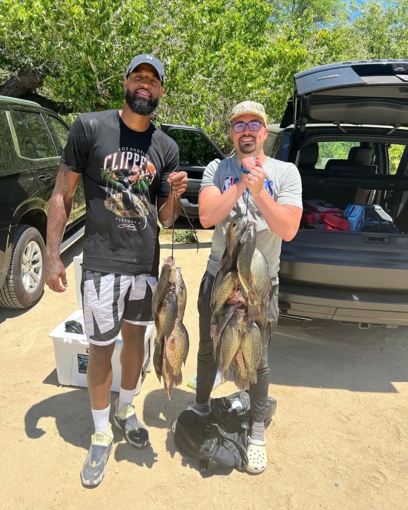 伤病无疑是 伤病无疑是